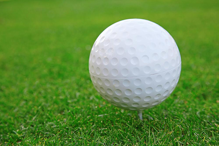 Montreal Golf Hotel
